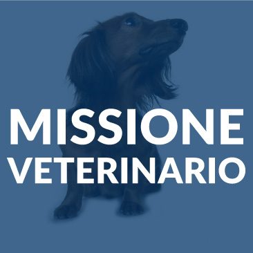 Missione-Veterinario-Corso-ECM-FAD-Medical-Evidence