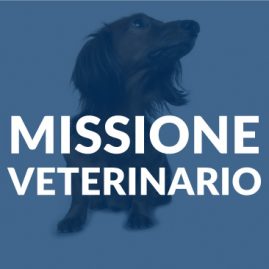 Missione-Veterinario-Corso-ECM-FAD-Medical-Evidence