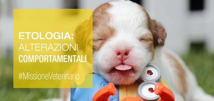 Medical Evidence-Etologia-Alterazioni-Comportamenti-Cani