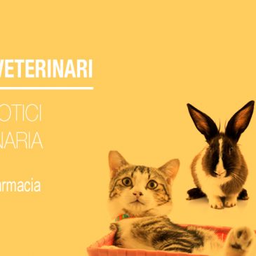 Farmaci Veterinari: Gli Antibiotici in Veterinaria