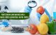Nutrizione-personalizzata-ruolo-genetica-dieta-ecm-medical evidence